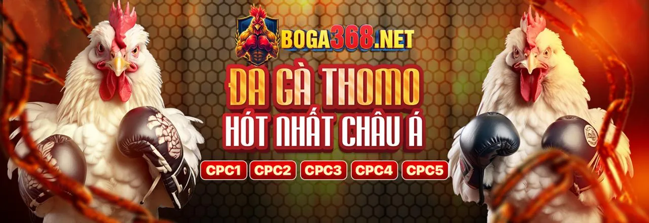 Đá Gà Trực Tuyến 18win Android
